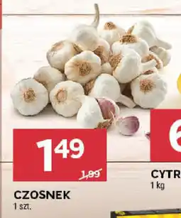 Stokrotka CZOSNEK oferta