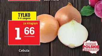 Gram Market Cebula 1 kg oferta