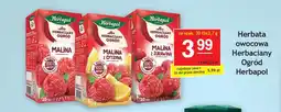 Gram Market Herbata owocowa Herbaciany Ogród Herbapol 20 x 2,7 g oferta