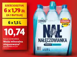 NAŁĘCZOWIANKA Woda mineralna niegazowana, 6 x 1,5 L