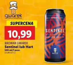 BROWAR GWAREK Sentinel lub Hart 500 ml