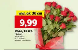 Lidl Róże, 13 szt. oferta