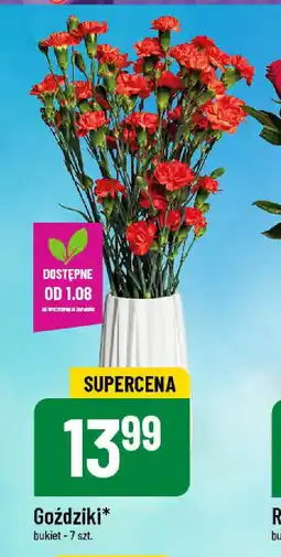 Polomarket Goździki 7 szt. oferta