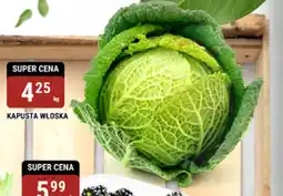 bi1 Kapusta oferta