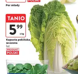 Intermarche Kapusta pekińska wczesna 1 kg oferta