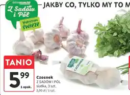 Intermarche Czosnek oferta