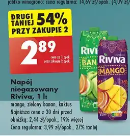 Biedronka Napój kaktus Riviva oferta