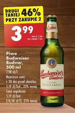 Biedronka Piwo Budweiser Budvar oferta