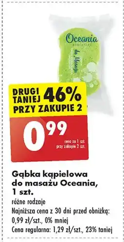 Biedronka Gąbka do masażu Oceania oferta