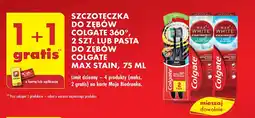 Biedronka Szczoteczka do zębów black medium Colgate 360 oferta