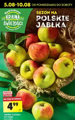 Biedronka Jabłka wczesne polska oferta