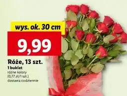Lidl Róże 30 cm oferta