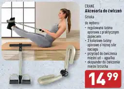ALDI CRANE Akcesoria do ćwiczeń oferta