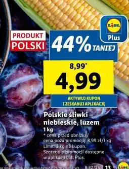 Lidl Śliwki niebieskie polska oferta