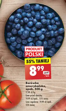 Biedronka Borówka amerykańska Polski oferta