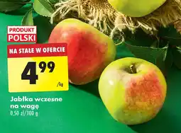 Biedronka Jabłka Polski oferta
