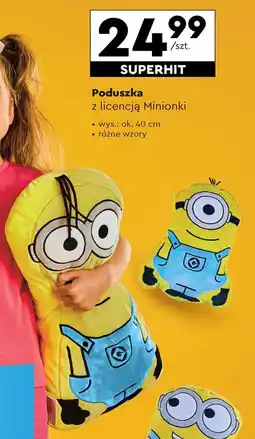 Biedronka Poduszka Ok oferta
