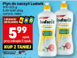 Delikatesy Centrum Płyn do naczyń Ludwik oferta