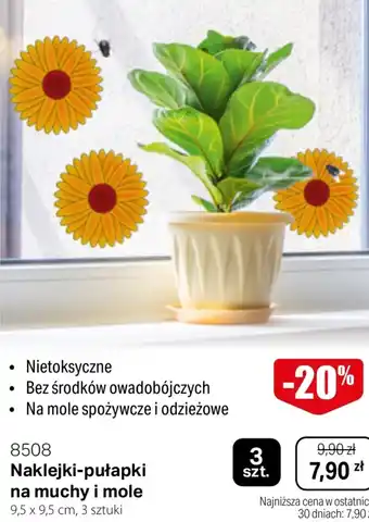 BetterStyle Naklejki-pułapki na muchy i mole 3 szt. oferta