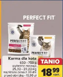 Carrefour Karma dla psa adult 1+ Perfect Fit oferta