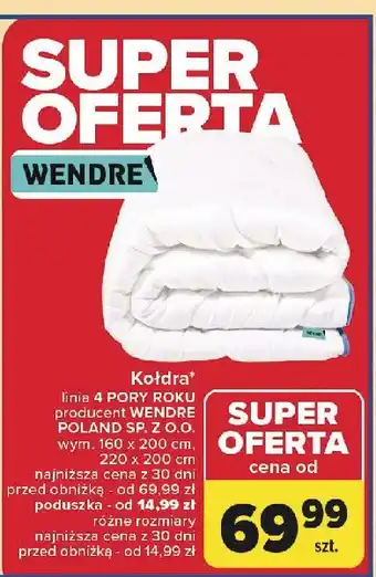 Carrefour Poduszka 4 pory roku wym. 40 x cm Wendre oferta