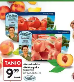 Intermarche Nektarynki Sanlucar oferta