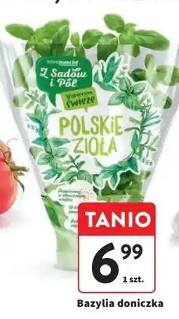 Intermarche Bazylia Z Sadów I Pól oferta