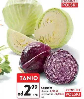 Intermarche Kapusta czerwona oferta