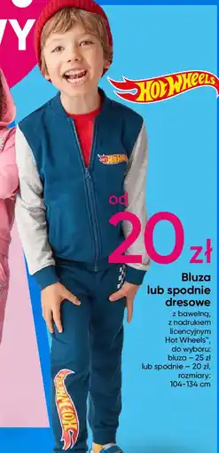 Pepco Spodnie chłopięce dresowe hot wheels oferta