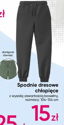 Pepco Spodnie dresowe chłopięce 104-134 oferta