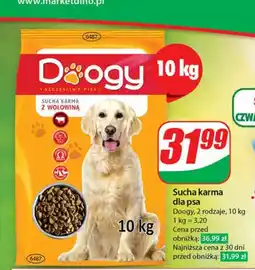 Dino Sucha karma dla psa 10 kg oferta