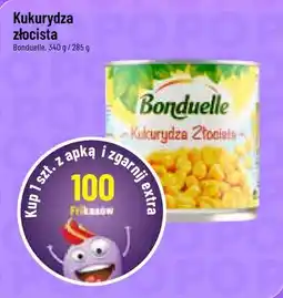 Polomarket Kukurydza złocista oferta