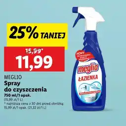 Lidl Spray do czyszczenia Meglio oferta