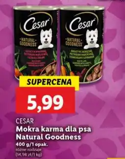 Lidl Karma dla psa Cesar oferta