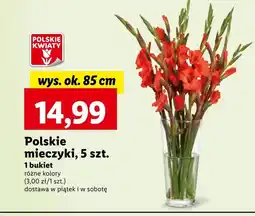 Lidl Bukiet Polskie kwiaty oferta