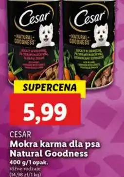 Lidl Karma dla psa z jagnięciną Cesar (Karma) oferta