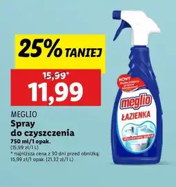 Lidl Spray do mycia łazienek Meglio oferta
