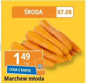 E.Leclerc Marchewka młoda oferta