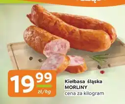 Gama Kiełbasa Morliny oferta
