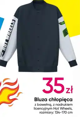 Pepco Bluza chłopięca Hot Wheels oferta