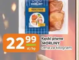 Gama Kęski piwne Morliny oferta