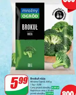 Dino Brokuł Mroźny ogród oferta