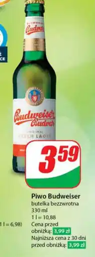 Dino Piwo Budweiser oferta