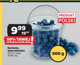 Netto Borówka amerykańska oferta