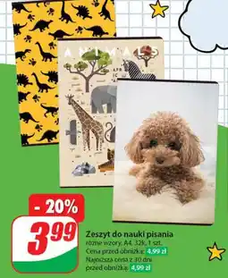 Dino Zeszyt do nauki pisania oferta