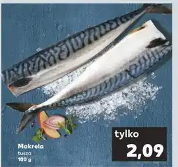 Kaufland Makrela tusza oferta