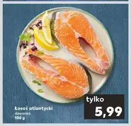 Kaufland Łosoś atlantycki dzwonko oferta