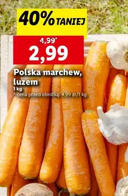 Lidl Marchew polska oferta
