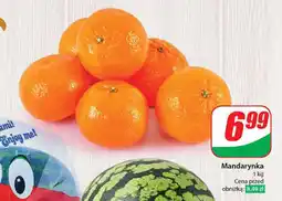 Dino Mandarynka 1 kg oferta