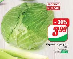 Dino Kapusta na gołąbki 1 kg oferta